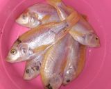 Foto langkah ke 1 dari resep Sop Ikan Nila.