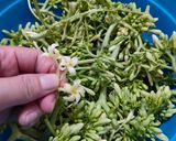 Foto langkah ke 1 dari resep Tumis Bunga Pepaya (Anti Pahit).