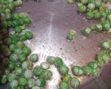 A picture of step 1 of Mix vegetables recipe.
