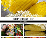 કોર્ન ચાટ(sweet corn chaat Recipe in Gujarati) રેસીપી સ્ટેપ3ફોટો