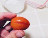 【梅子蕃茄】的食譜步驟4照片