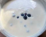 Foto del paso 9 de la receta: Tarta de yogur griego con arándanos