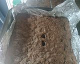 Foto del paso 8 de la receta: Brownies de cocoa
