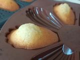 🤩 Madeleine 🤩