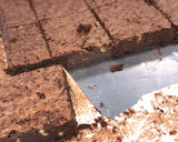 Foto del paso 4 de la receta: Brownie