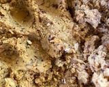 A picture of step 2 of Soya Chaap.