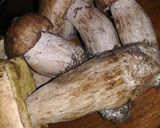 Foto del passaggio 1 della ricetta Pappardelle ai funghi porcini