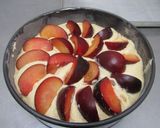 Foto del paso 7 de la receta: Torta de ciruelas frescas y yogurt