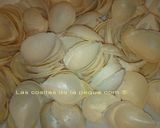 Foto del paso 1 de la receta Almendras Rellenas