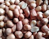 Foto langkah ke 1 dari resep Roti tawar goreng isi kacang manis.