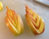 A picture of step 3 of Apple Feather.