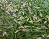 Hình bước làm 2 của món Tim cật xào bông hẹ