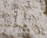 Foto del paso 2 de la receta: Galletas-bizcochos caseros con grasa/manteca