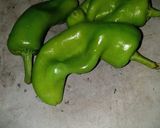 Foto del paso 3 de la receta: Tostadas de tinga nuevas texturas