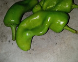 Foto del paso 3 de la receta: Tostadas de tinga nuevas texturas