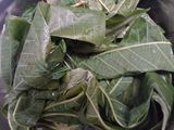 Rendang Daun Singkong