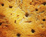 Foto del paso 4 de la receta: Pan esponja con 3 leches