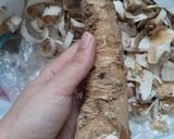 Reszelt ecetes cukros torma recept fázis 1 fotója