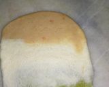 A picture of step 6 of Tirangi Puri.