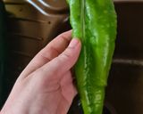 Foto del paso 7 de la receta 50. Pisto de verduras