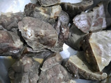 Oseng Paru Sapi