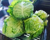 Foto del paso 1 de la receta: Col rizada fermentada con jengibre y anís