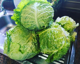 Foto del paso 1 de la receta: Col rizada fermentada con jengibre y anís