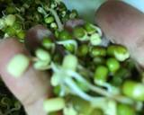 Moong sprouts Paratha recipe step 1 photo