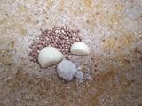 Peyek kacang senemune