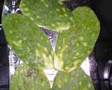 Foto del paso 4 de la receta: Huaraches de Nopalitos