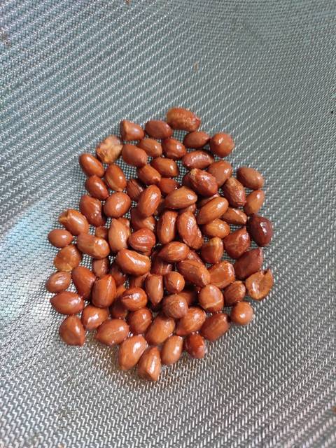 Langkah-langkah untuk membuat Resep Teri Kacang Bawang
