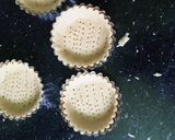 صورة لخطوة 2 من وصفة تارتولات الفراولة 😋