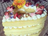 Heart Cake