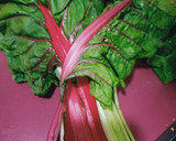Foto del paso 1 de la receta: Acelgas al ajillo