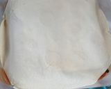 Foto del paso 5 de la receta: Lasagna mixta