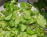 A picture of step 6 of Summer Special Lemon Mint Virgin Mojito.