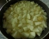 Foto del paso 2 de la receta: Dulce de Cayote