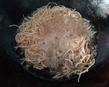 A picture of step 10 of American choupsey with chicken balls.