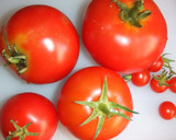 Foto del paso 1 de la receta: Fuente de tomates con achicoria