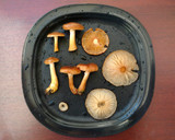 Foto del paso 1 de la receta: Hongos jardinera