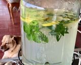 Foto del paso 6 de la receta: Agua saborizada con jengibre menta y limón