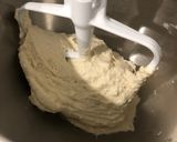 Foto del passaggio 2 della ricetta Pizze al piatto (67% idratazione) 🍕