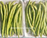 Foto langkah ke 1 dari resep Buncis Jamur Cah Bawang Putih Saos Black Papper.