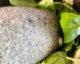 Une image de l'étape 2 de Lumachine, pesto, tabasco.