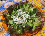 Une image de l'étape 9 de Salade feuille de chêne aux pignons de pin, mozzarella et persil.