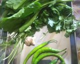 પાલક ચીલા (Palak Chila Recipe in Gujarati) રેસીપી સ્ટેપ2ફોટો