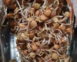 Foto del paso 6 de la receta: Brotes de lentejas al limón 🌱🍋 Germinado de lentejas alimonadas 🌱 🍋