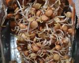 Foto del paso 6 de la receta: Brotes de lentejas al limón 🌱🍋 Germinado de lentejas alimonadas 🌱 🍋