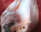 Foto langkah ke 1 dari resep Pesmol ikan nila.