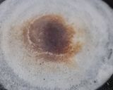 डोसा(dosa recipe in hindi) रेसिपी चरण 4 फोटो